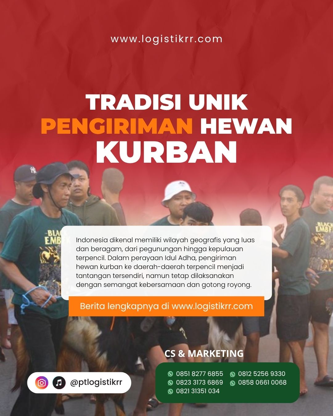 Pengiriman hewan kurban ke daerah terpencil